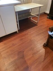 West Park Regency (D5), Apartment #522725811